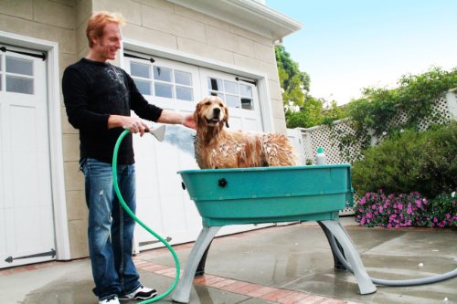 Elevated Pet Bathing, Teal, Large (Pack of 1)