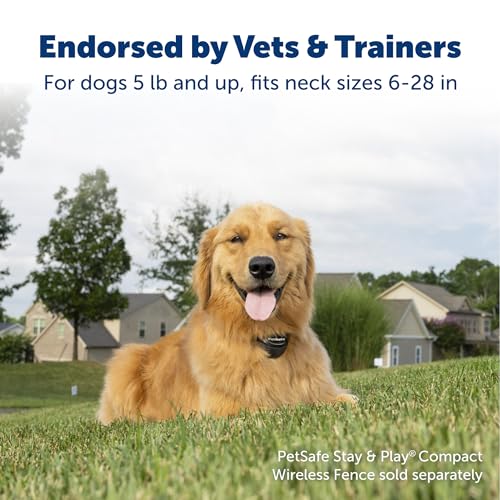 Stay & Play Pet Fence Wireless, Dog Fence Collar Rechargeable Receiver Collar, Waterproof Design, Compatible with All Wireless Fences, Invisible Wireless System (Black)