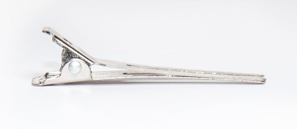 double prong hair clips, 10 pack, D17C
