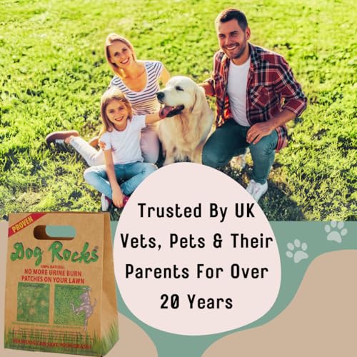 Dog Pee Grass Neutralizer for Green Grass in 3-5 Weeks | Dog Grass Saver Rock | 100% Natural Urine Neutralizer for Lawn, Grass and Hedges | 600 grams