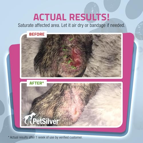 PetSilver Wound & Skin Spray - Dog Wound Spray, Hot Spot, Allergy Relief for Dogs, Itch Spray for Cats - Natural Skin Soother - Chelated Silver, Superior to Colloidal Silver - Made in USA - 4 fl oz