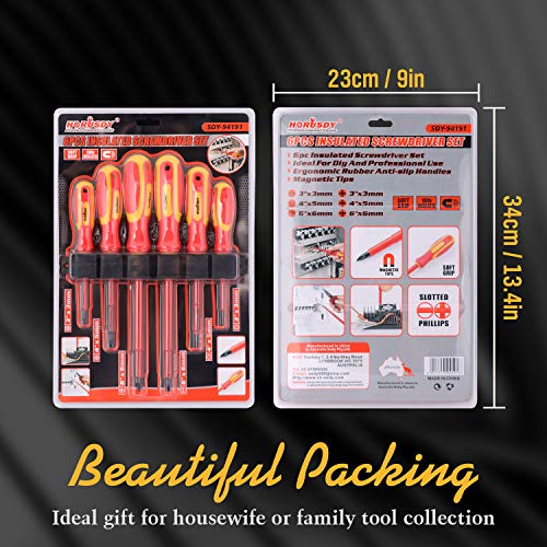 6-Piece 1000v Insulated Screwdriver Set, Magnetic Tip Electrician screwdriver Set (Insulated Screwdriver Set)