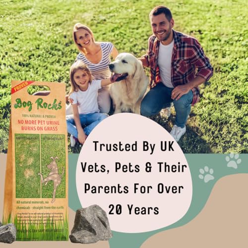 Dog Pee Grass Neutralizer for Green Grass in 3-5 Weeks | Dog Grass Saver Rock | 100% Natural Urine Neutralizer for Lawn | 200 grams