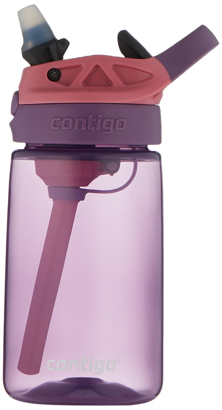 CLEANABLE 14OZ PP Eggplant Punch Waterbottle
