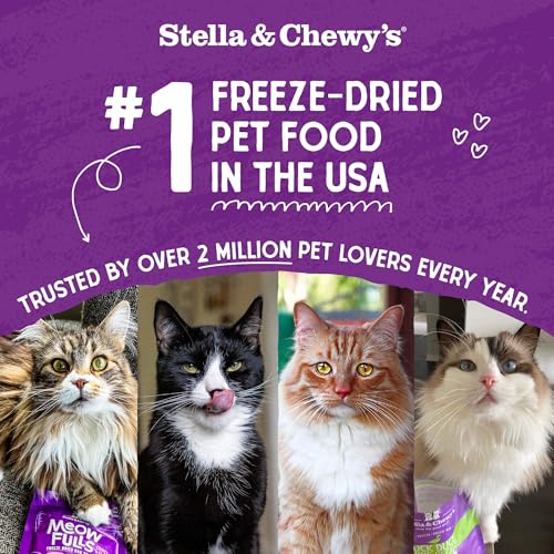 Stella &amp; Chewy&#39;s Freeze-Dried Raw Cat Dinner Morsels – Grain Free, Protein Rich Cat &amp; Kitten Food – Duck Duck Goose Recipe – 18 oz Bag