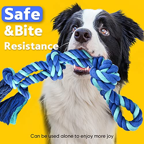 Bungee Dog Toy, Tether Tug Outdoor Dog Toy for Pitbull Interactive &amp; Exercise, Spring Pole Tether Tug of War Toy with Durable Rope, Outdoor Hanging Toys for Large Dogs Reduce Boredom, Blue