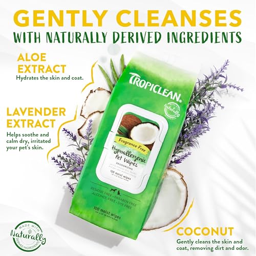 Hypoallergenic Dog Wipes for Paws, Butt, Face and Body, Safe for Puppy, Puppy Essentials, Cleaning Deodorizing, Unscented, Cat Safe, 100ct