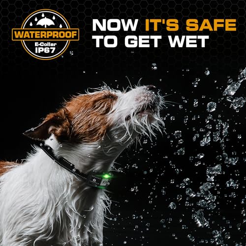 Dog Training Collar [2025 Edition] 123 Levels 1100yd Range E Collar for Dogs Training 100% Waterproof Rechargeable, Dog Shock Collar with Remote Control