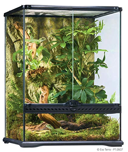 Exo Terra Glass Natural Terrarium Kit, for Reptiles and Amphibians, Small Tall, 18 x 18 x 24 Inches, PT2607A1