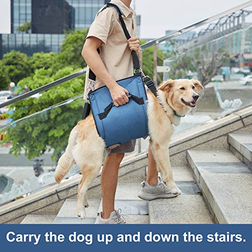 COODEO Dog Carry Sling, Emergency Backpack Pet Legs Support &amp; Rehabilitation Dog Lift Harness for Nail Trimming, Dog Carrier for Senior Dogs Joint Injuries, Arthritis, Up and Down Stairs(XL, Blue)
