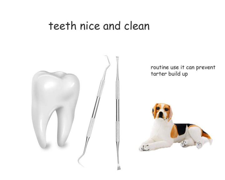 Dog Teeth Cleaning Tools Tarter Remover Canine Dental Scraper Scaler Tools Pet Tooth Cleaner Stainless Steel with Double Head