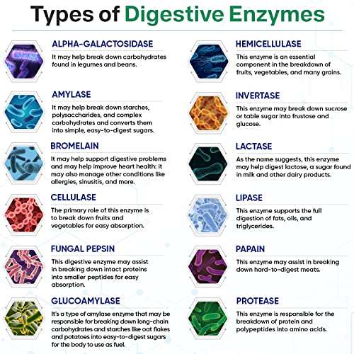 Digestive Enzymes 1000MG Plus Prebiotics &amp; Probiotics Supplement, 180 Capsules, Organic Plant-Based Vegan Formula for Digestion &amp; Lactose with Amylase &amp; Bromelain,3-6 Months Supply