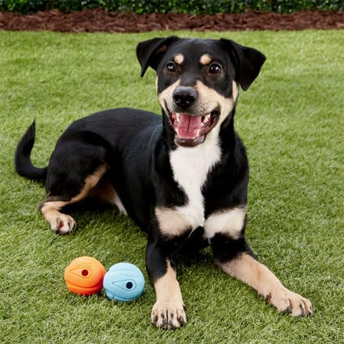 The Whistler Ball Dog Toy, Large (3 Inch Diameter) for Dogs 60-100 lbs, Pack of 1