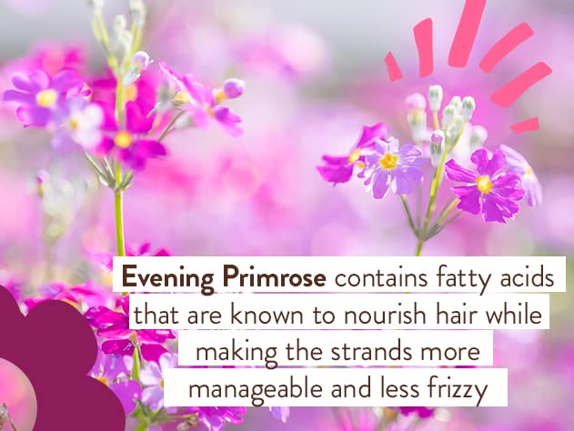 Smoothing Conditioner with Evening Primrose Oil, Coconut Oil and Provitamin B5 - For Babies, Kids and Adults with Tangly or Unruly Hair - Vegan