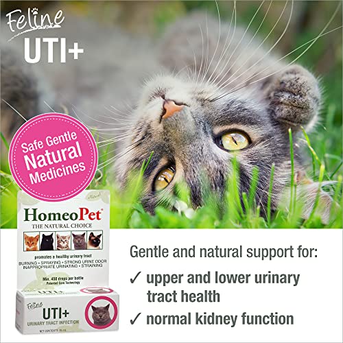 Feline UTI Plus, Safe and Natural Urinary Tract Medicine for Cats, Feline Urinary Tract Support, 15 Milliliters