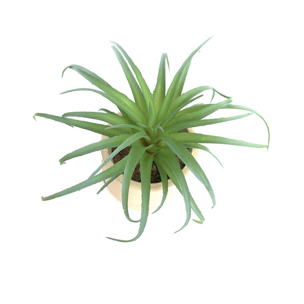 2 PCS Artificial Succulents Plants Flocking Cactus Succulent Bouquet Arrangements Faux Greenery Plants DIY for Garden Decor Home Decoration