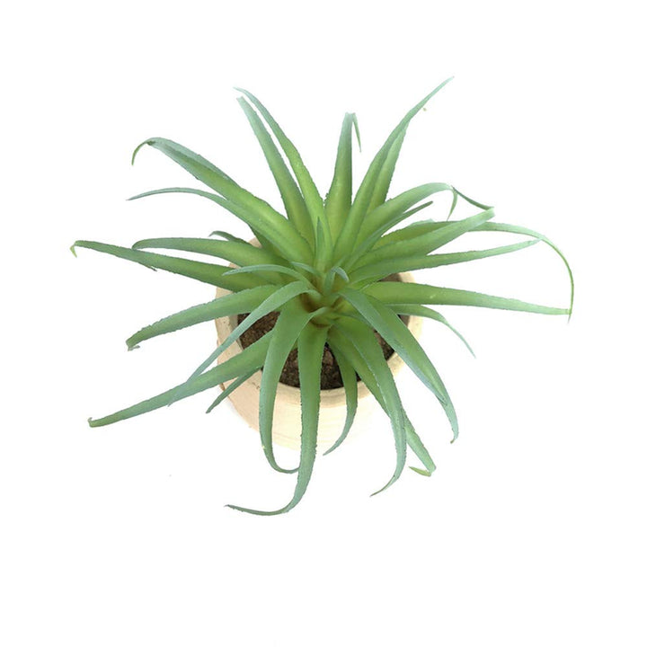 2 PCS Artificial Succulents Plants Flocking Cactus Succulent Bouquet Arrangements Faux Greenery Plants DIY for Garden Decor Home Decoration