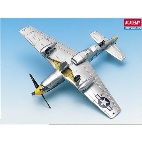 The Fighter of World War II P-51C Model Kit, Gray