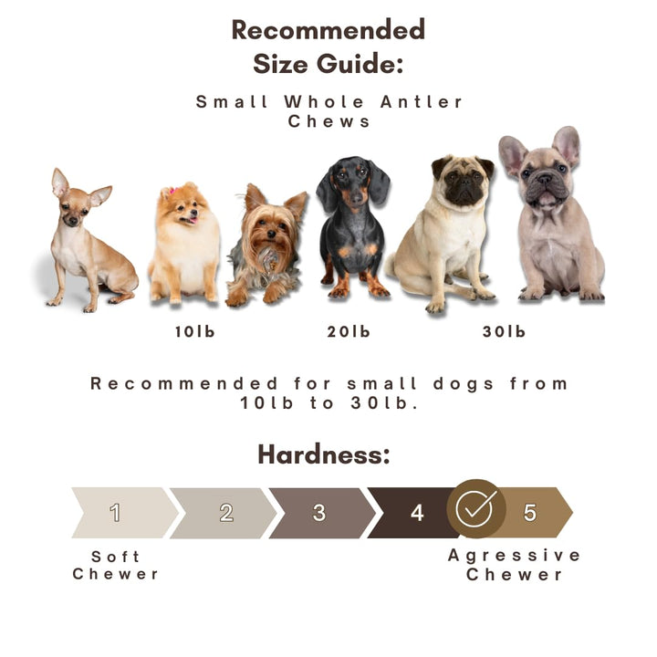 - Antlers for Small Dogs (6 Pack) Deer Antler Dog Chew Bones for Small Aggressive Chewers - Long Lasting Horn Chew Toys - Naturally Shed