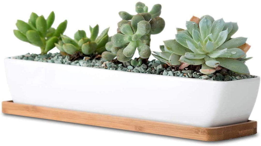 White Ceramic Long Rectangle Succulent Planter Pots with Bamboo Saucers/Mini Flower Plant Containers 11.1 Inch Succulents Planter Home Decor(Long Rectangle