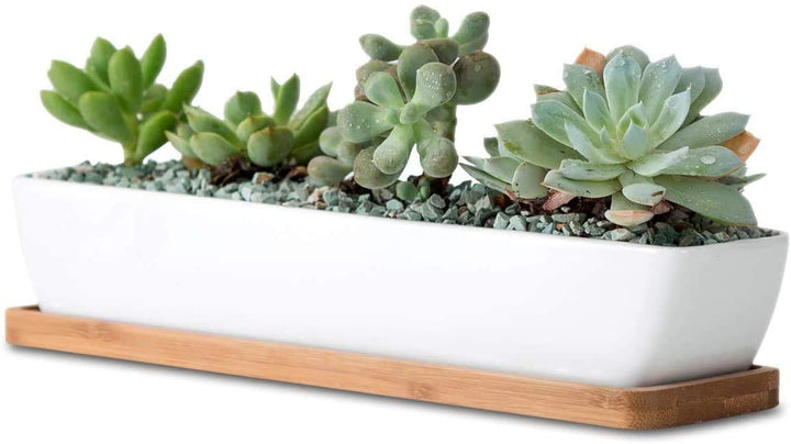 White Ceramic Long Rectangle Succulent Planter Pots with Bamboo Saucers/Mini Flower Plant Containers 11.1 Inch Succulents Planter Home Decor(Long Rectangle
