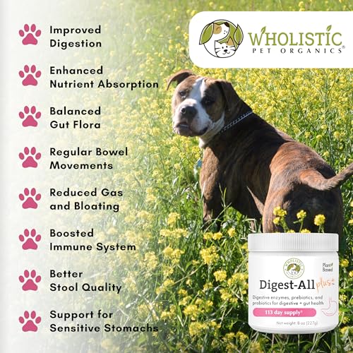 Wholistic Digest-All Plus Probiotics for Dogs with Digestive Enzymes - 8 Oz - Cat Probiotics for Digestive Health - Dog Probiotics for Digestive Health Supplement Powder for Homemade Food