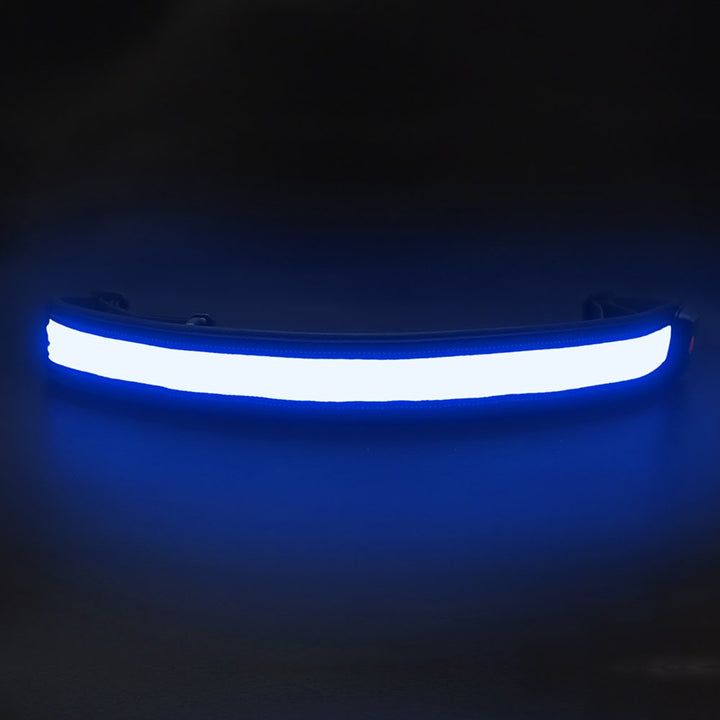 LED Running Waist Belt - USB Rechargeable Reflective Glowing LED Waistband, Flashing Safety Light Belt for Runners, Joggers, Walkers, Pet Owners, Cyclists (Blue)