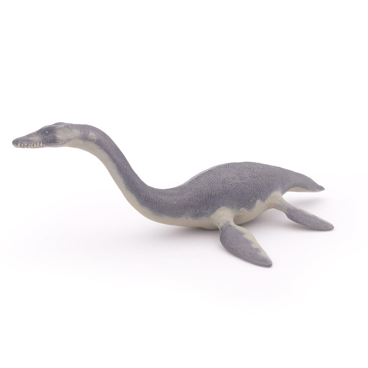 The Dinosaur Figure, Plesiosaurus, Multicolor