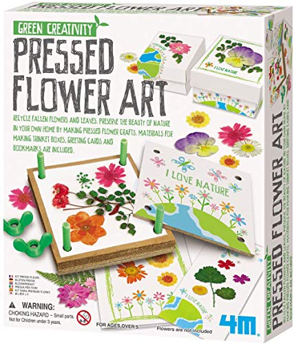 4M Green Creativity Pressed Flower Art Kit, Recycle Flo
