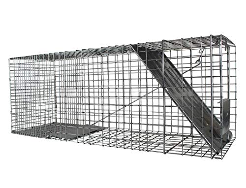 1079SR Large 1-Door Humane Catch and Release Live Animal Trap Cage - Live Raccoon Trap, for Bobcats, Beavers, Dogs, & More
