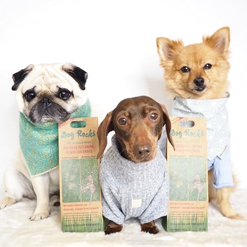 Dog Pee Grass Neutralizer for Green Grass in 3-5 Weeks | Dog Grass Saver Rock | 100% Natural Urine Neutralizer for Lawn | 200 grams