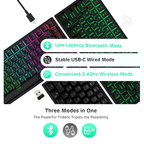 RK84 RGB 75% Triple Mode BT5.0/2.4G/USB-C Hot Swappable Mechanical Keyboard, 84 Keys Wireless Gaming Keyboard, Tactile Brown Switch