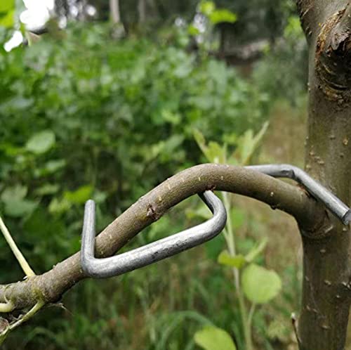 The Fruit Branch Spreader Forms Stronger Branches on Cherries and Other Fruit Trees to Support The Growth of New Branches, Branch Support (24 per Pack) (S-3.9(inch))