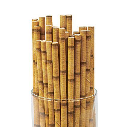 Tiki Bamboo Print Biodegrabale Paper Straws - Multi Pac
