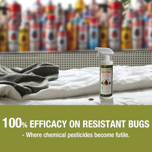 Bed Bug Killer 16 oz by EcoRaider, 100% Kill Efficacy, Bedbugs &amp; Mites, Kills Eggs &amp; The Resistant, Lasting Protection, USDA BIO-Certified, Plant Extract Based &amp; Non-Toxic, Child &amp; Pet Safe
