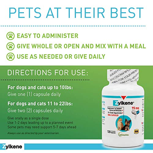 Zylkene Calming Support Supplement for Small Dogs and Cats, Helps Promote Relaxation and Reduce External Stress Factors, Daily Behavioral Support and Anxiety Relief for Dogs and Cats, 75mg