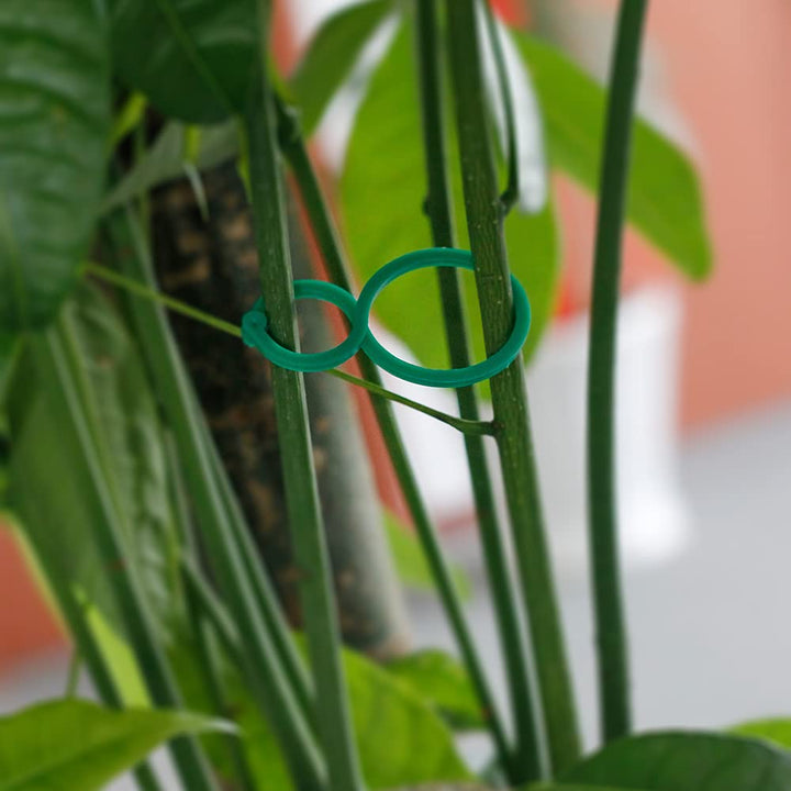 100PCS Vegetables Tomato Vine Flower Clips Plant Twist Clip Garden Plant Support Clips Plant Clips and Garden Clips for Other Vine Plants for Climbing Plants for Securing Plants (Large)