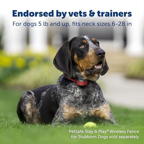 Stay & Play Wireless Dog Collar, Wireless Dog Fence System Rechargeable and Waterproof Receiver Collar, Quick Charge in 2-3 Hours, Fence for Dogs, Electric Containment for Pets