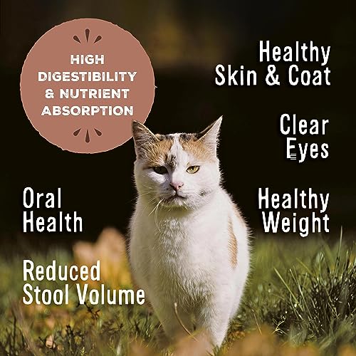Primal Freeze Dried Raw Cat Food Nuggets Turkey, Complete &amp; Balanced Meal or Topper, Premium, Healthy, Grain Free, High Protein Raw Cat Food with Probiotics (14 oz)