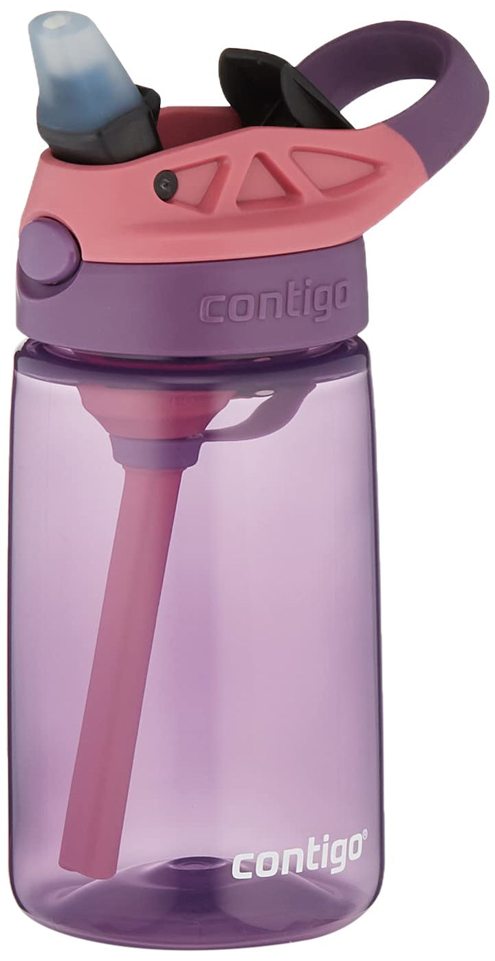 CLEANABLE 14OZ PP Eggplant Punch Waterbottle