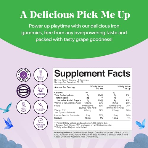 Kids Iron Gummies - Blood Builder Iron Supplements for Kids with Gentle for Stronger Immunity & Energy - Vitamin B12, Folate & Vitamin C Gummies - Vegan, GMO & Gluten Free for Toddlers - 60 Count