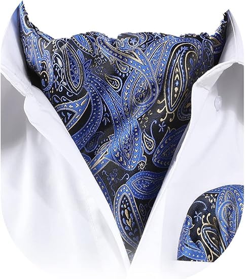 HISDERN Ascot Ties for Men Navy Blue Paisley Cravat for