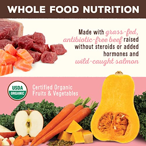 Primal Freeze Dried Raw Cat Food Nuggets Beef &amp; Salmon, Complete &amp; Balanced Meal or Topper, Premium, Healthy, Grain Free, High Protein Raw Cat Food with Probiotics (14 oz)