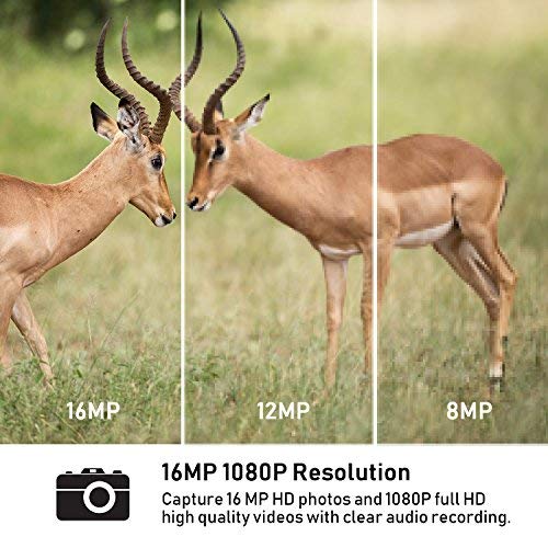 Trail Game Deer Camera No Glow 16MP 1080P Night Vision 110°Hunting Outdoor Cam Security Motion Activated Surveillance System IP66 Waterproof Wildlife Farm Monitoring with 2.4” LCD