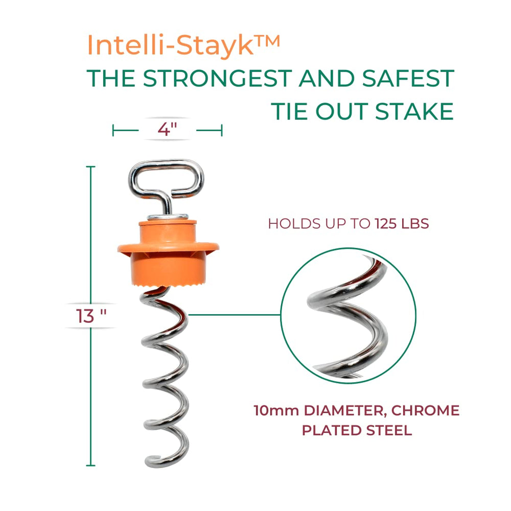 IntelliLeash Intelli-Stayk: 4 Diameter with Exclusive Surface-Lock Technology for Pulling and Bending Prevention