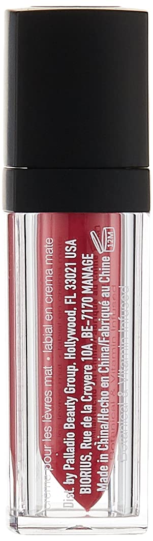 PALLADIO BEAUTY VELVET MATTE CREAM LIP COLOR - PASHMINA, 4.16 g (0.147 oz)