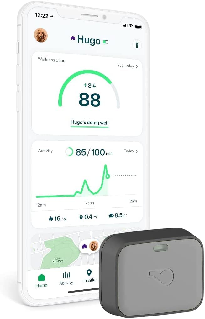 Go Explore/The Ultimate Health + GPS Location Tracker for Pets/Grey