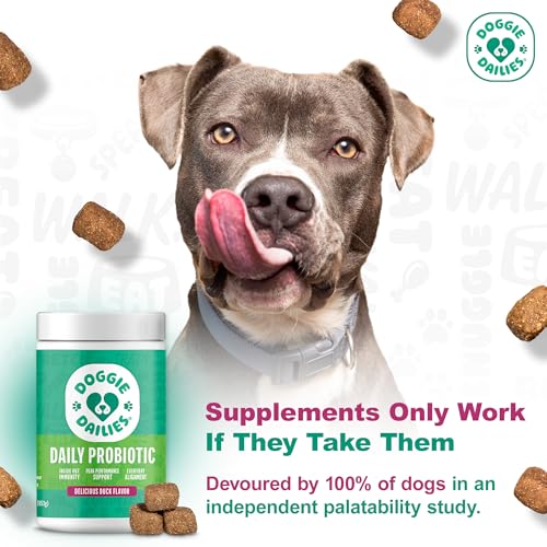 Probiotics for Dogs, Advanced Probiotics with Prebiotics, Promotes Digestive Health, Supports Immune System &amp; Overall Health, Duck Flavor, 225 Chews