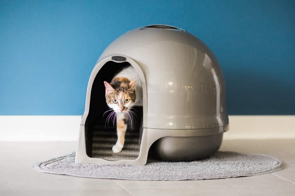 Petmate Clean Step Cat Litter Box Dome (Made in the USA with 95% Recycled Materials)- Brushed Nickel, Made in USA