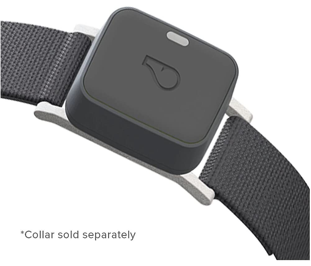 Go Explore/The Ultimate Health + GPS Location Tracker for Pets/Grey